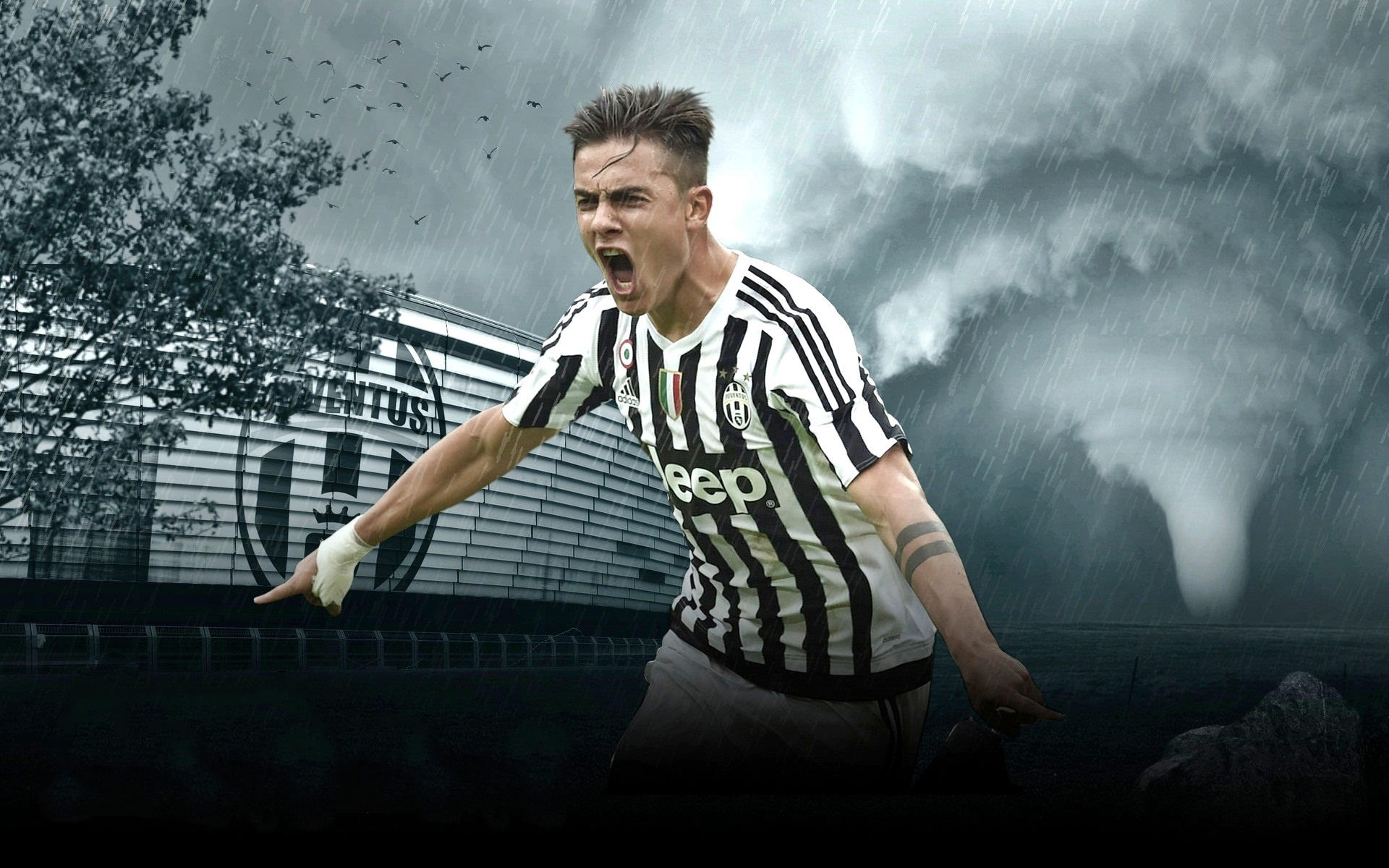 你们别管，我的流量队自有踢法